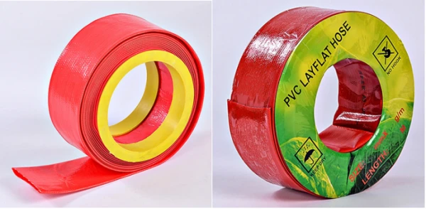 product-600-294 product-600-294